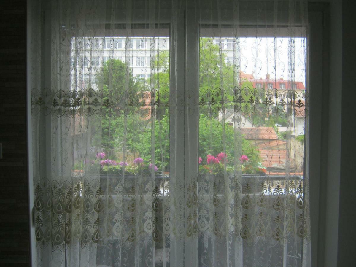 Ildiko Studio Apartment Is A Calm Place To Relax スボティツァ エクステリア 写真